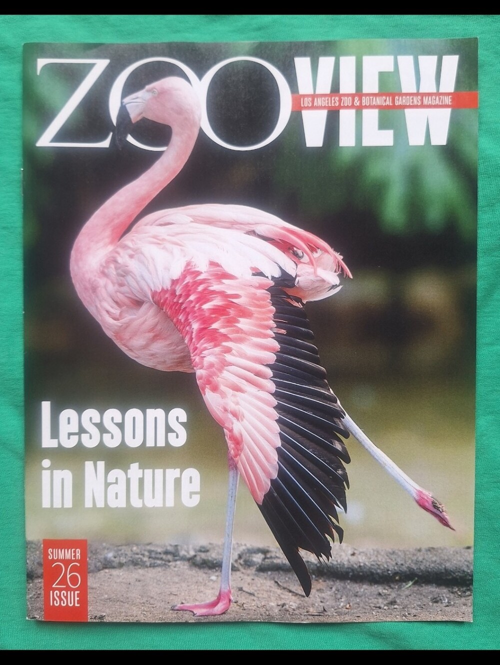 Los Angeles Zoo "Zoo View" Magazine – Summer 2026 Issue – Member Magazine